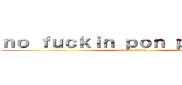 ｎｏ ｆｕｃｋｉｎ ｐｏｎ ｐｏｎ ｗｅｉ (cowbop-beboy)