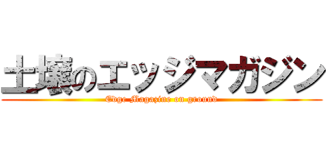 土壌のエッジマガジン (Edge Magazine on ground)