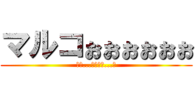 マルコぉぉぉぉぉぉ (お前...マルコか...？)