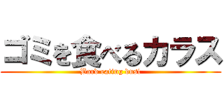 ゴミを食べるカラス (Bard eating dust)