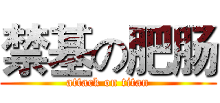 禁基の肥肠 (attack on titan)