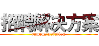 招聘解决方案 (campus solution)