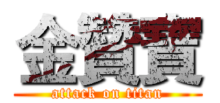金贊寶 (attack on titan)