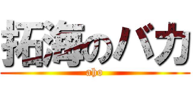 拓海のバカ (aho)