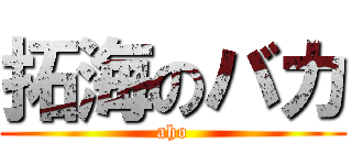 拓海のバカ (aho)
