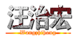 汪治宏 (Wangzhihong)