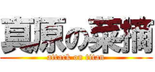 真原の菜摘 (attack on titan)