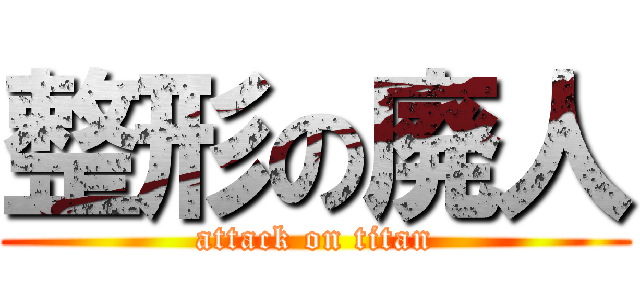 整形の廃人 (attack on titan)