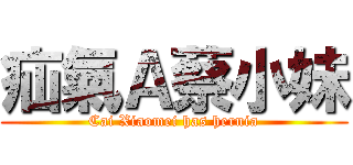 疝氣Ａ蔡小妹 (Cai Xiaomei has hernia)