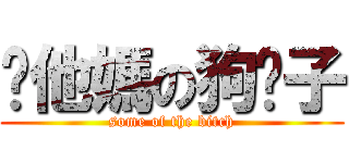 你他媽の狗婊子 (some of the bitch)