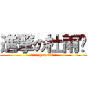 進撃の杜雨锐 (麻烦 の hentai班长)