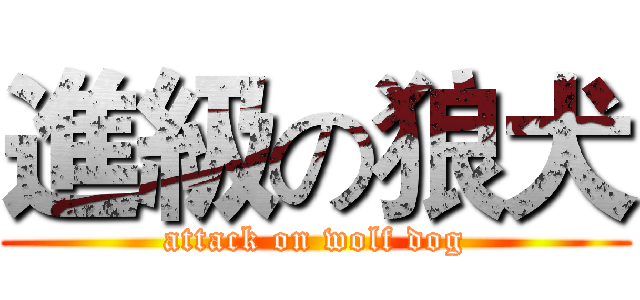 進級の狼犬 (attack on wolf dog)