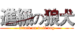 進級の狼犬 (attack on wolf dog)