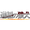 進級の狼犬 (attack on wolf dog)