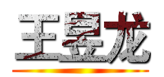 王昱龙 ()