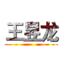 王昱龙 ()
