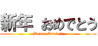 新年 おめでとう (Bonne Année!!)