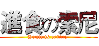 進食の索尼 (Sonic is eating )