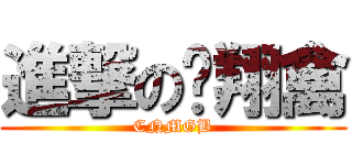 進撃の飞翔禽 (CNMGB)