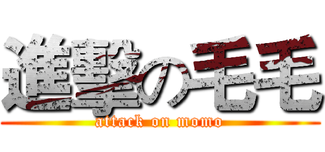 進擊の毛毛 (attack on momo)