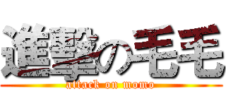 進擊の毛毛 (attack on momo)