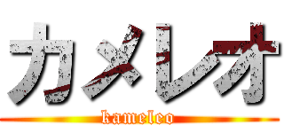 カメレオ (kameleo)
