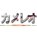 カメレオ (kameleo)