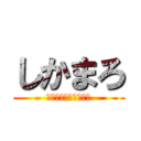 しかまろ (かめのこうじまんねん)