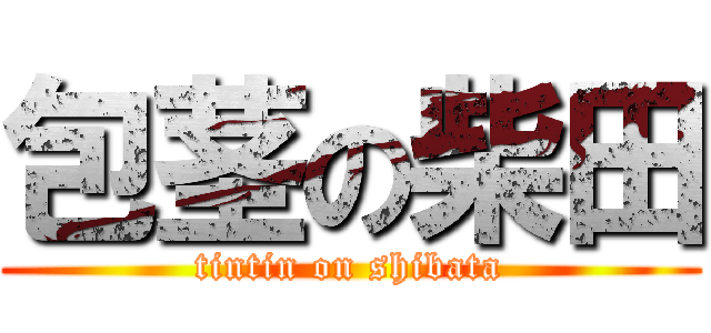 包茎の柴田 (tintin on shibata)