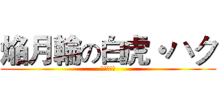 焔月輪の白虎・ハク (西方七星陣)