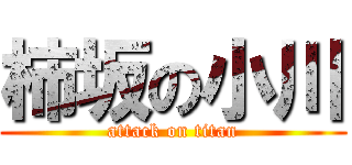 柿坂の小川 (attack on titan)