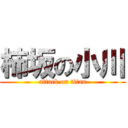 柿坂の小川 (attack on titan)