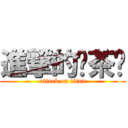 進撃的绿茶婊 (attack on titan)