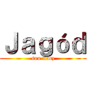 Ｊａｇóｄ (sou macz)