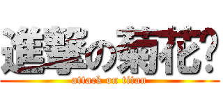 進撃の菊花锦 (attack on titan)