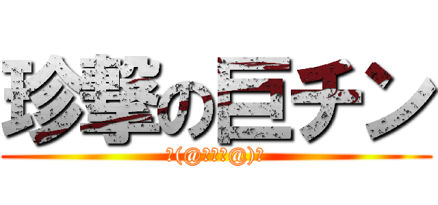 珍撃の巨チン (ヾ(@゜▽゜@)ノ)