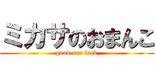 ミカサのおまんこ (good sex fack)