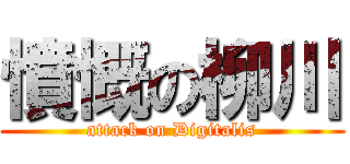 憤慨の柳川 (attack on Digitalis)