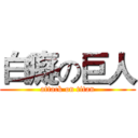 白癡の巨人 (attack on titan)