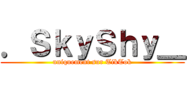 ．ＳｋｙＳｈｙ＿ (uniquement sur TikTok)