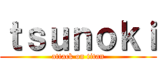 ｔｓｕｎｏｋｉ (attack on titan)