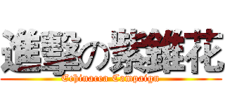 進擊の紫錐花 (Echinacea Campaign)