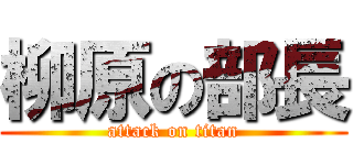 柳原の部長 (attack on titan)