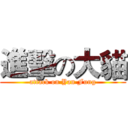 進擊の大貓 (attack on Yan Fung)