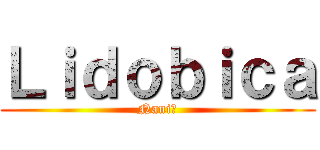 Ｌｉｄｏｂｉｃａ (Nani?)