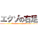 エクゾの右足 (Ekuzo no migiasi)