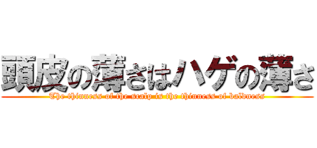 頭皮の薄さはハゲの薄さ (The thinness of the scalp is the thinness of baldness)