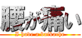 腰が痛い (I have a baikache)