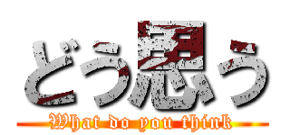 どう思う (What do you think)