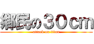 鄕民の３０ｃｍ (attack on titan)